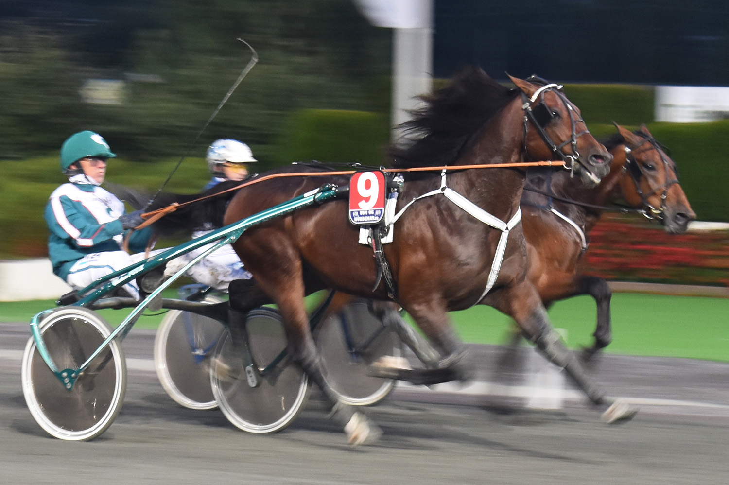 Seger direkt i debuten med Örjan Kihlström i sulkyn. Foto: A.Lindblom